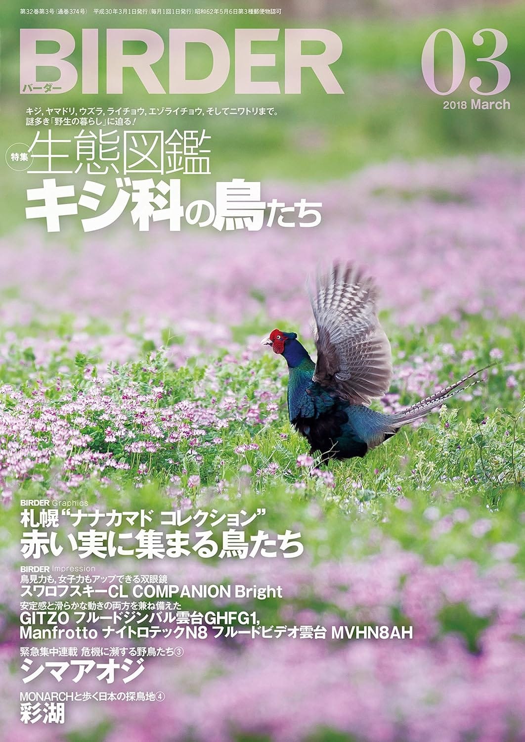 BIRDER（バーダー）2018年3月号