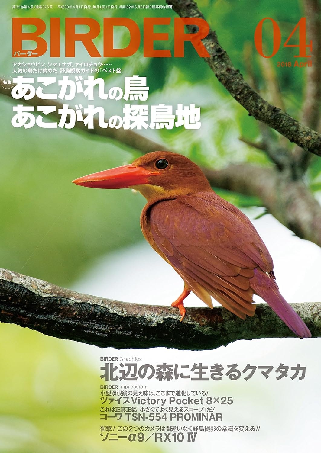 BIRDER（バーダー）2018年4月号
