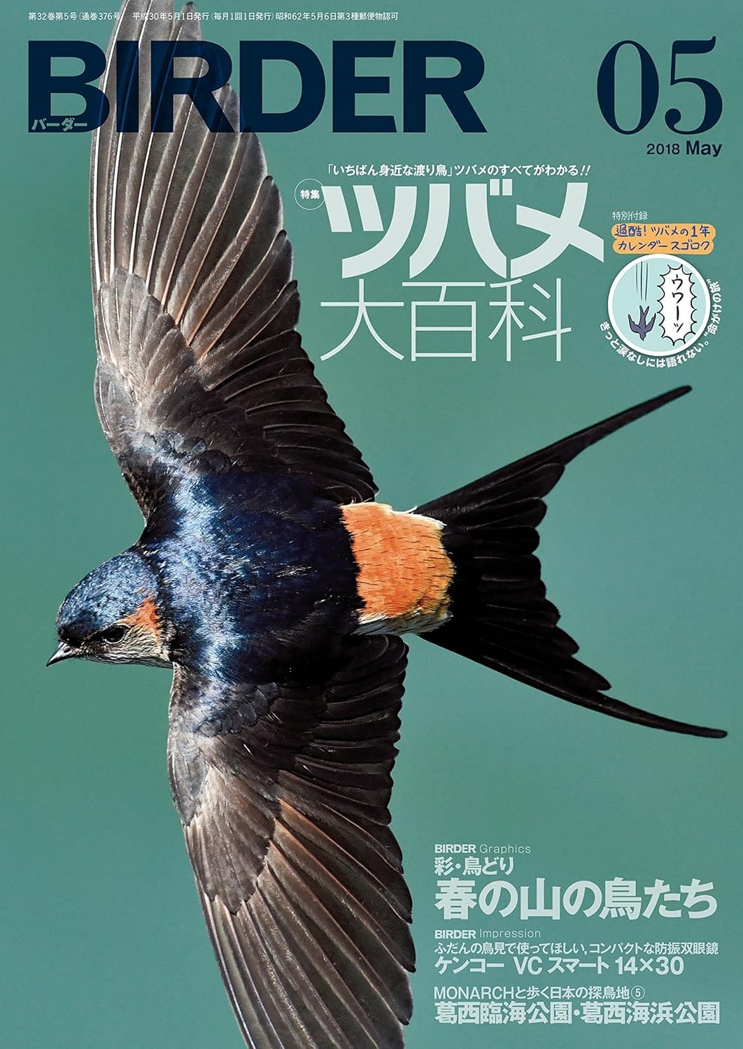 BIRDER（バーダー）2018年5月号
