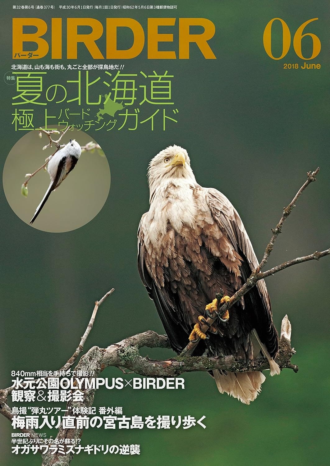 BIRDER（バーダー）2018年6月号
