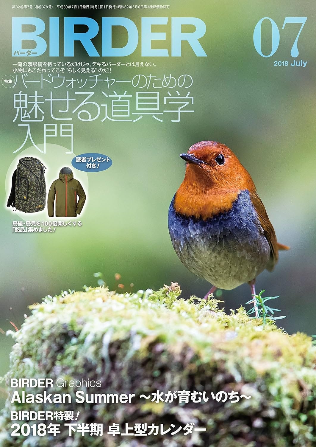 BIRDER（バーダー）2018年7月号