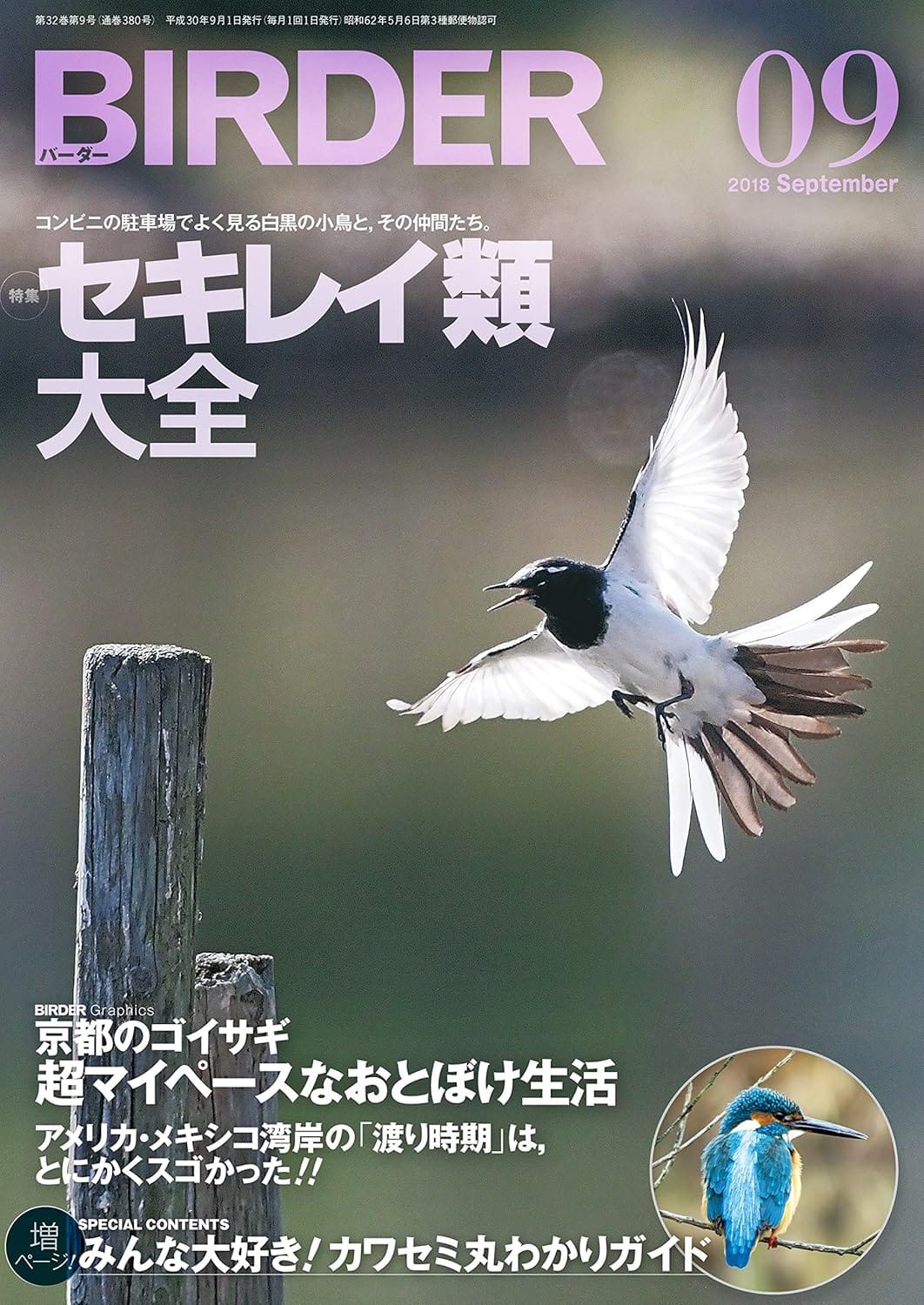 BIRDER（バーダー）2018年9月号