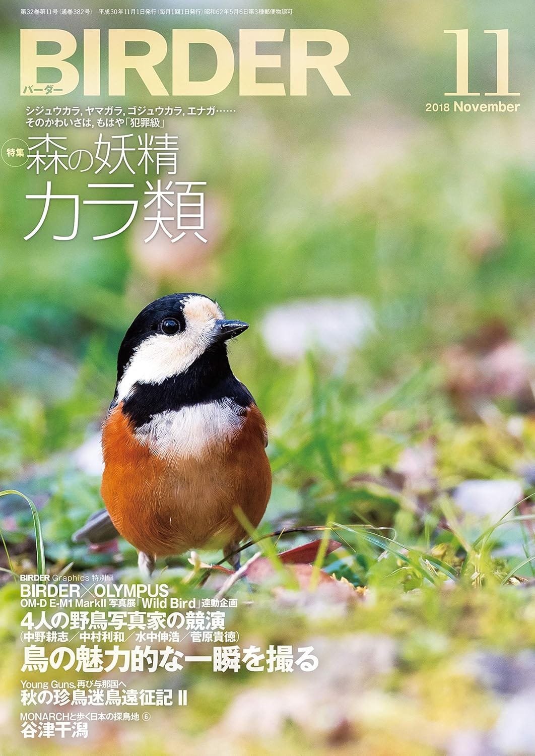 BIRDER（バーダー）2018年11月号