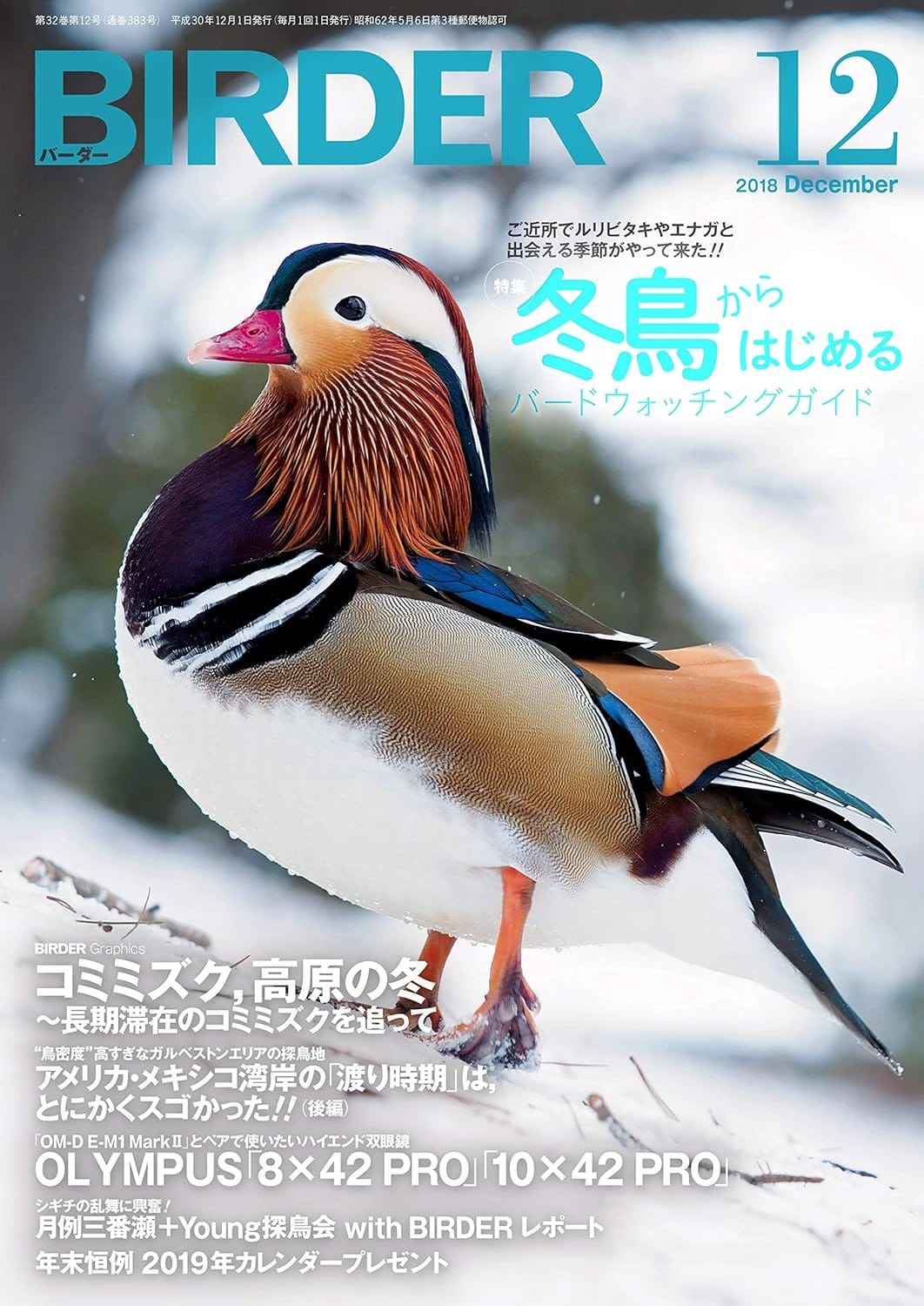 BIRDER（バーダー）2018年12月号