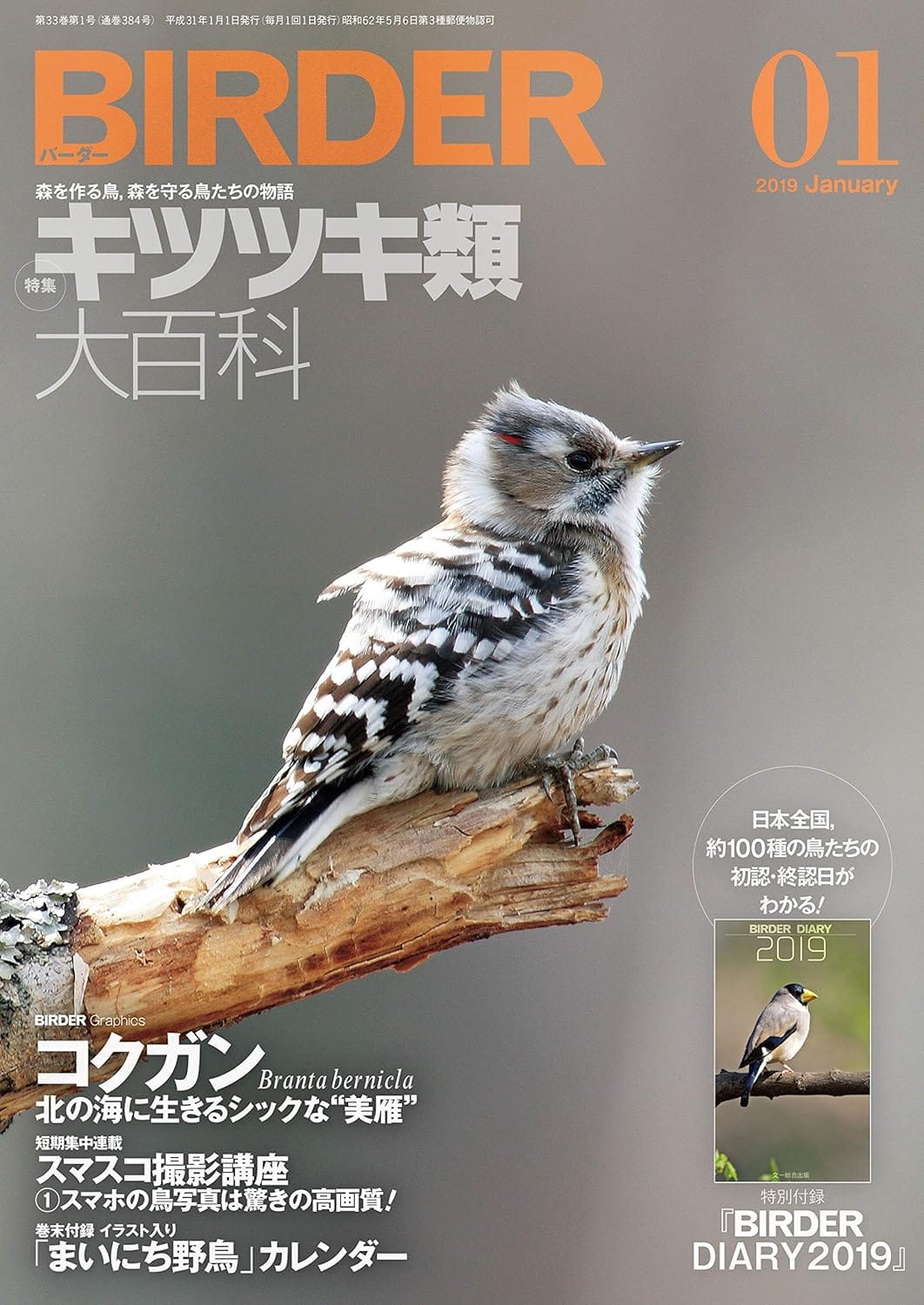 BIRDER（バーダー）2019年1月号