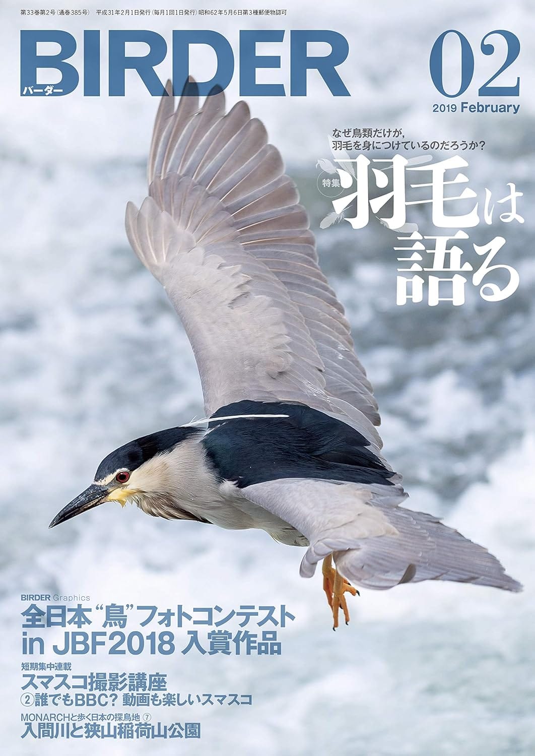 BIRDER（バーダー）2019年2月号