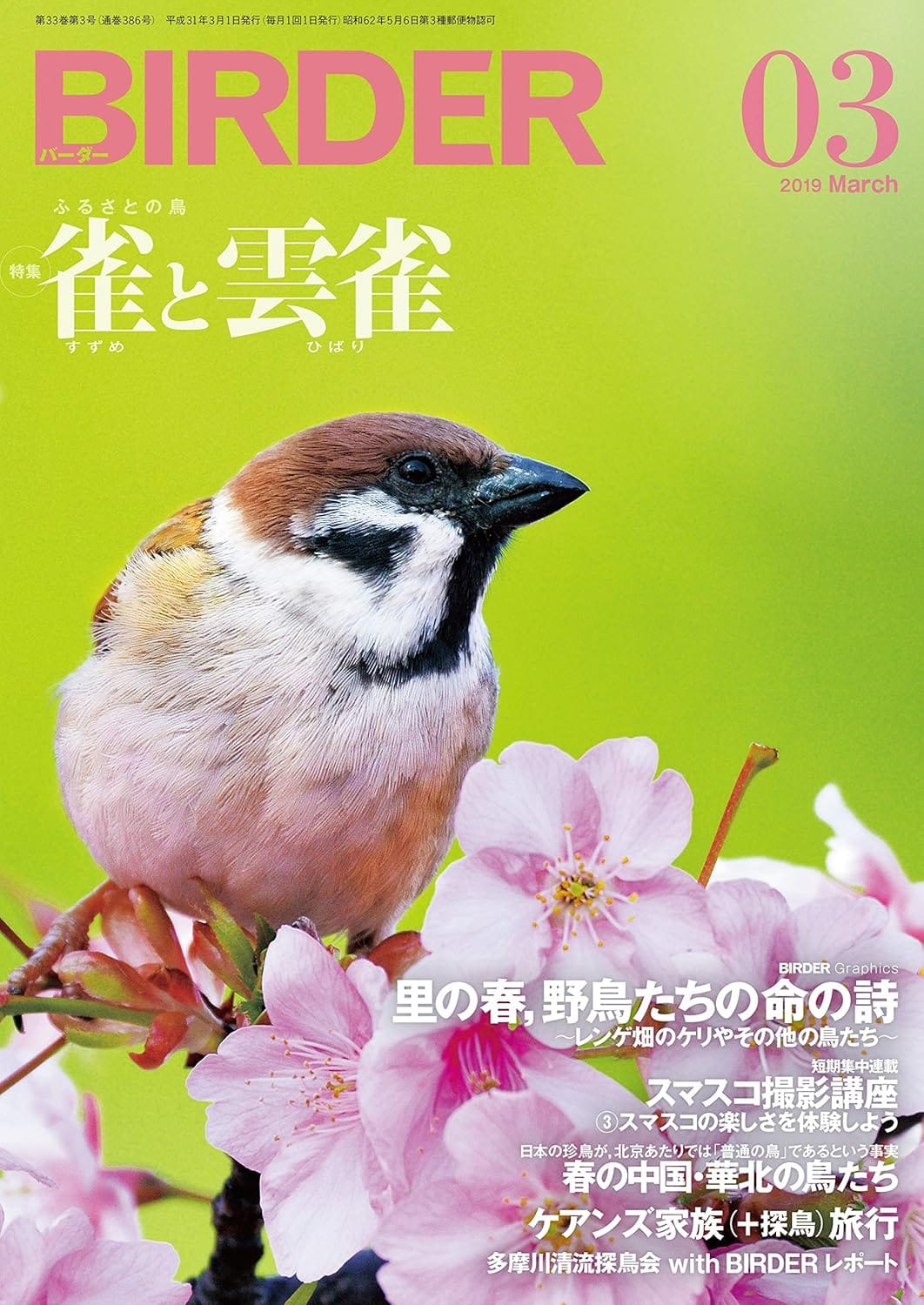 BIRDER（バーダー）2019年3月号