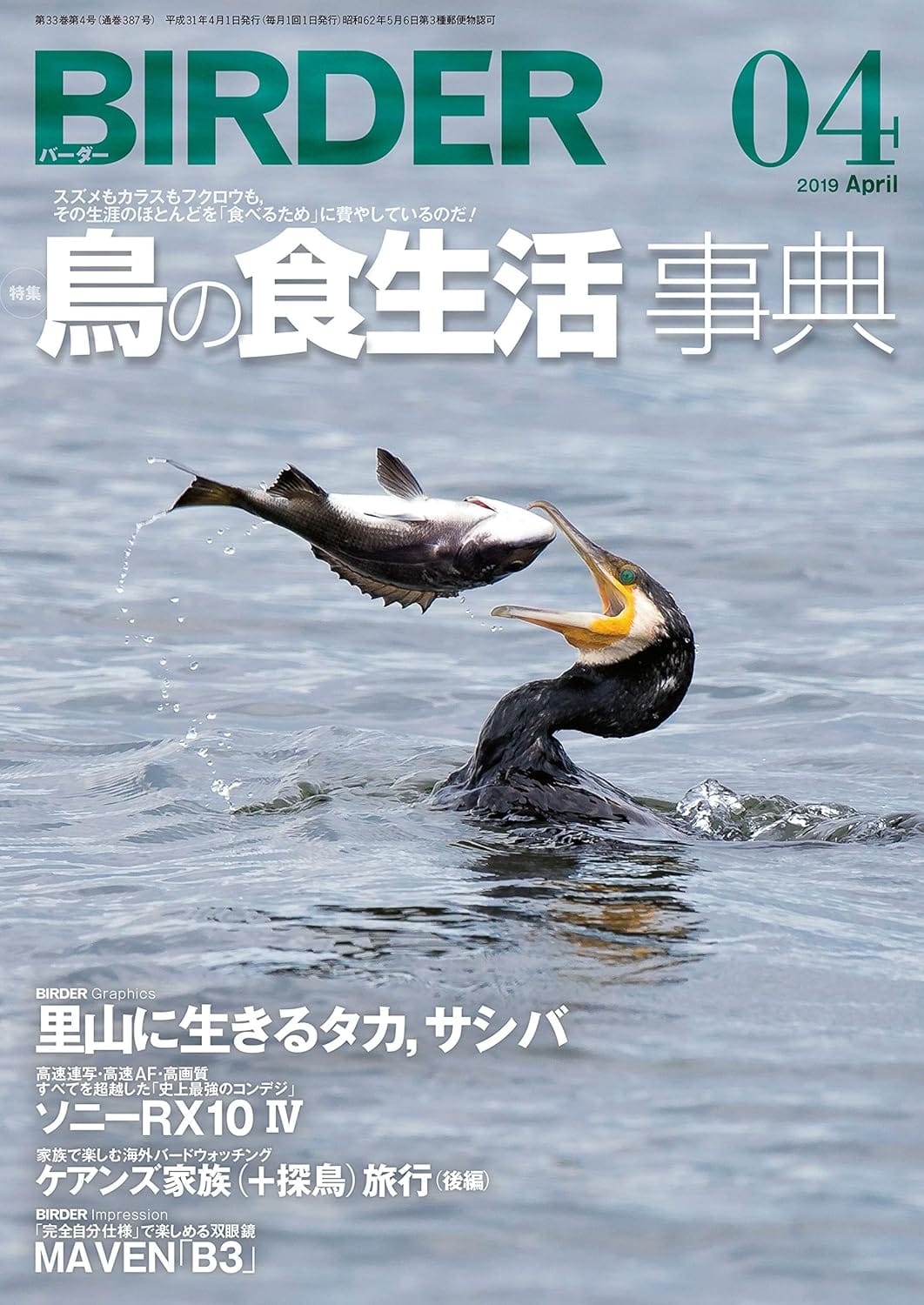BIRDER（バーダー）2019年4月号