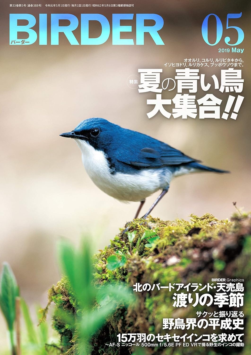 BIRDER（バーダー）2019年5月号