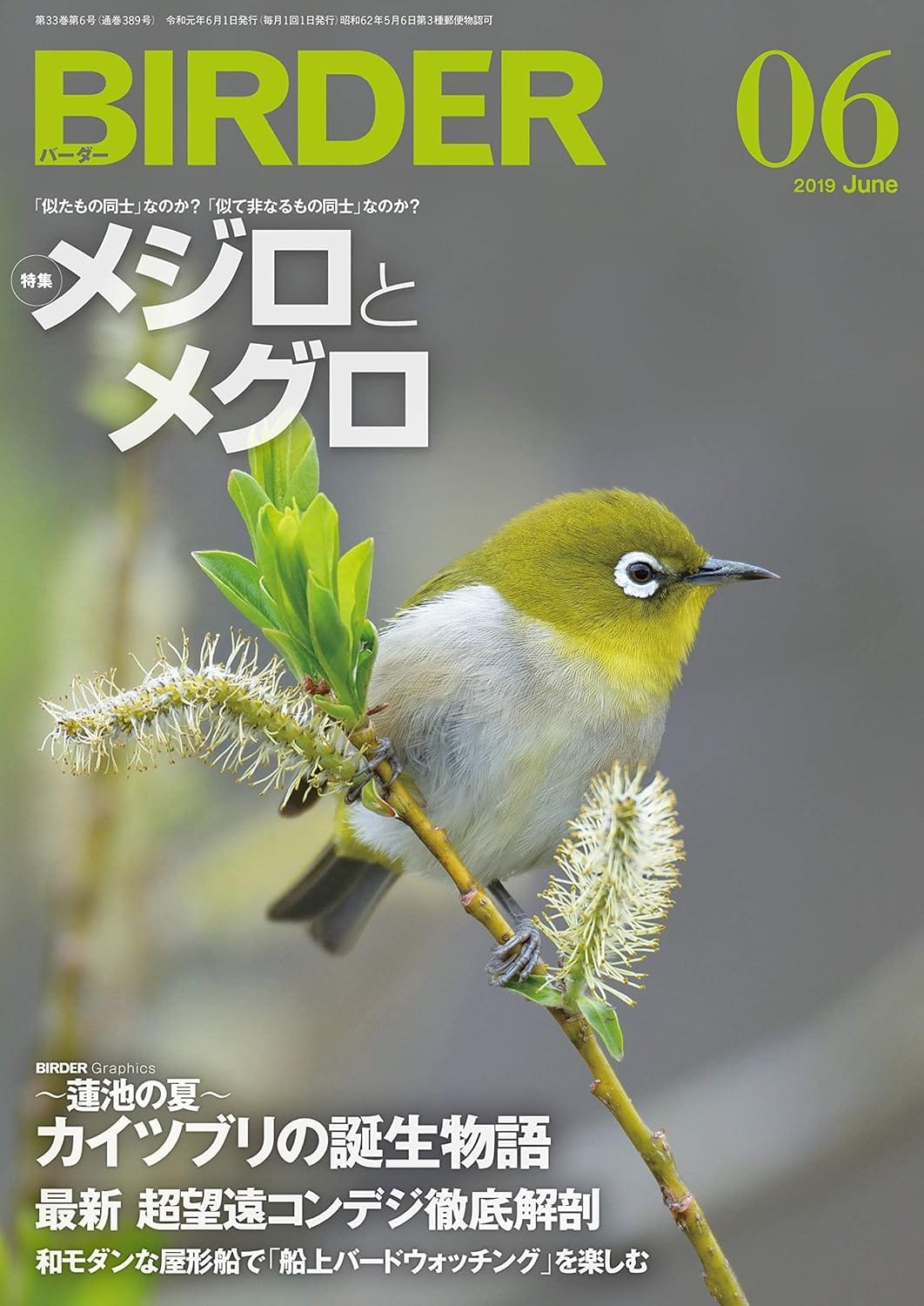 BIRDER（バーダー）2019年6月号