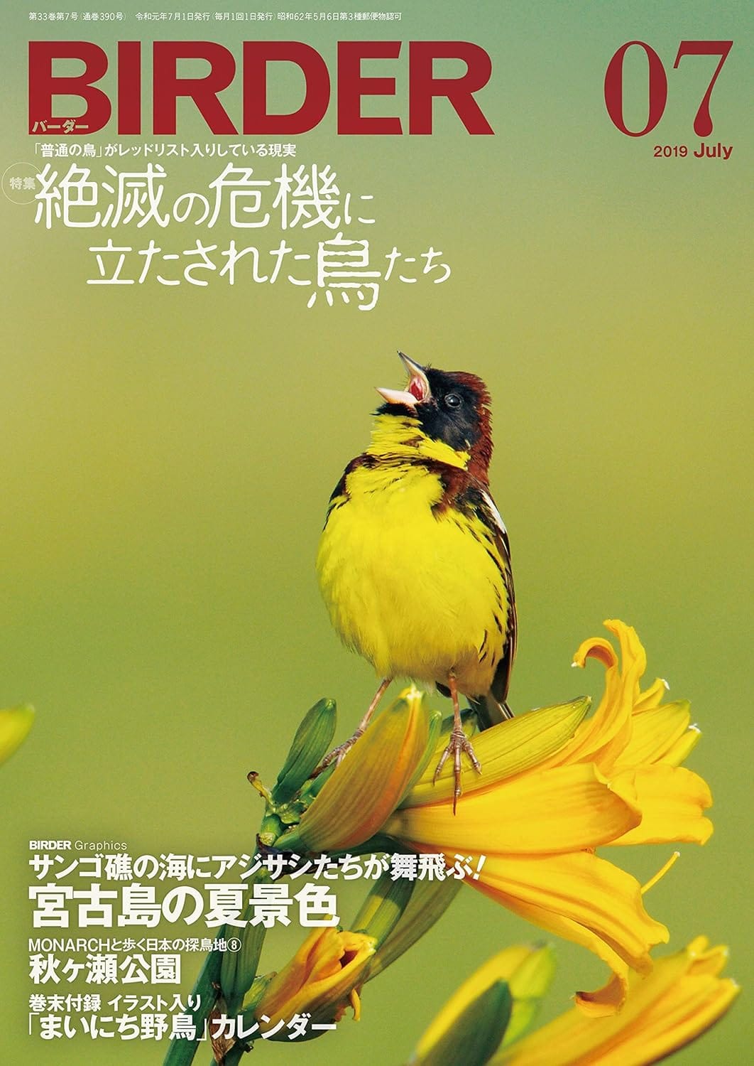 BIRDER（バーダー）2019年7月号
