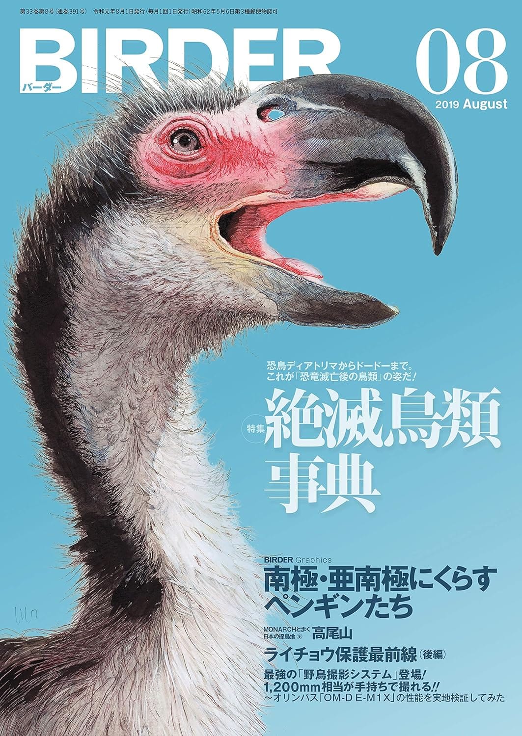 BIRDER（バーダー）2019年8月号