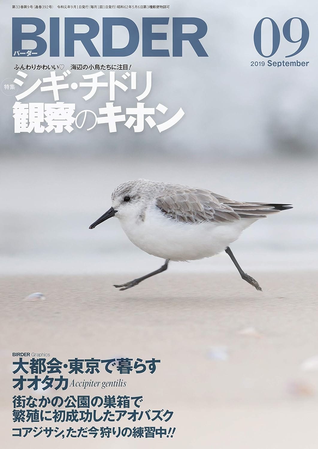 BIRDER（バーダー）2019年9月号