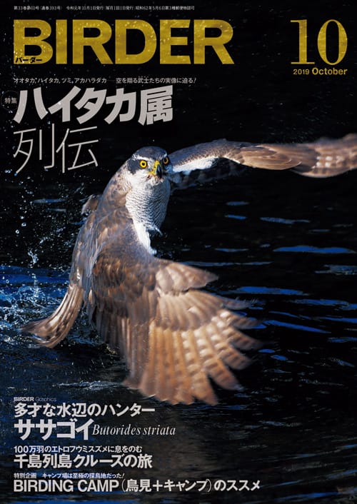 BIRDER（バーダー）2019年10月号