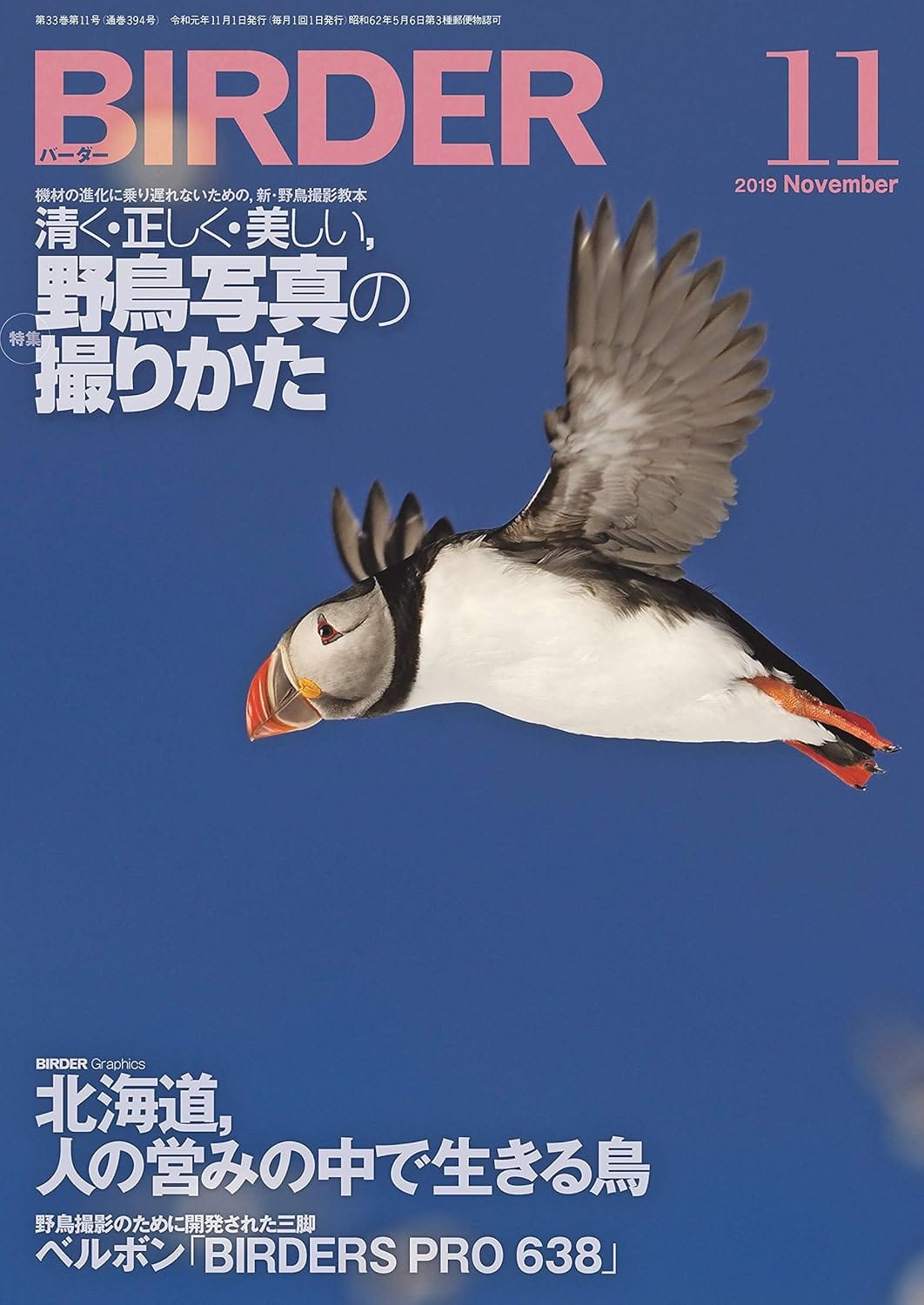 BIRDER（バーダー）2019年11月号