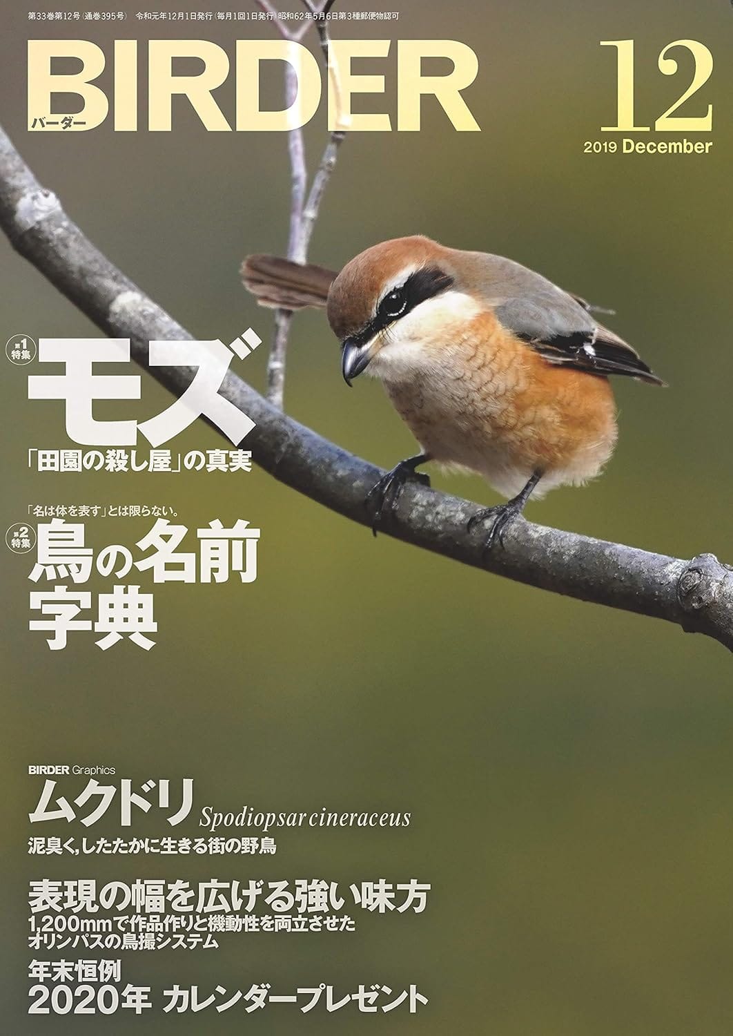 BIRDER（バーダー）2019年12月号