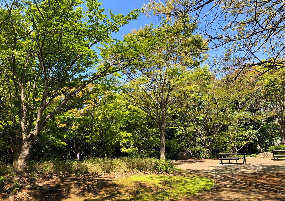 自分のフィールドをもとう!