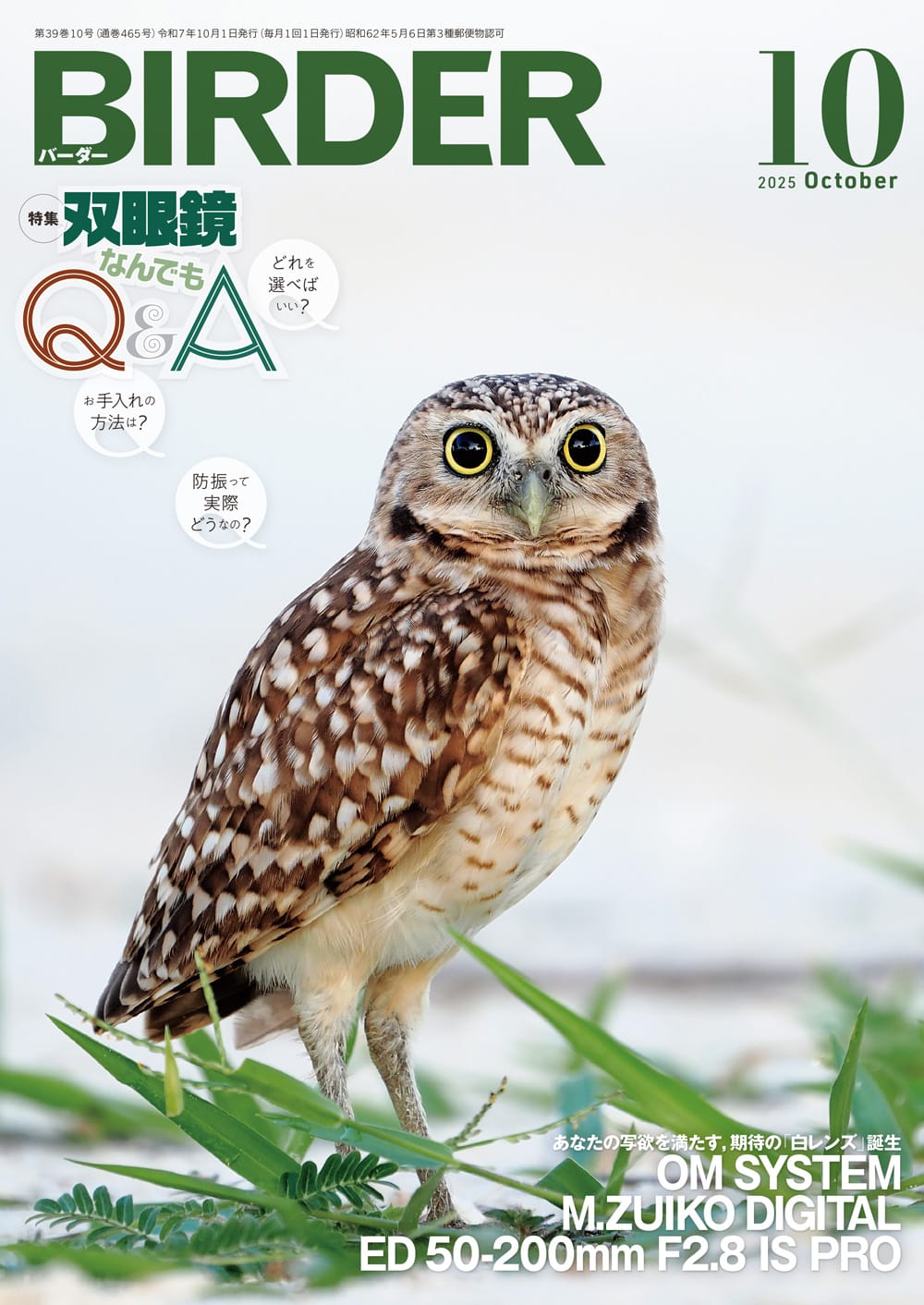 BIRDER(バーダー) 2025年10月号
