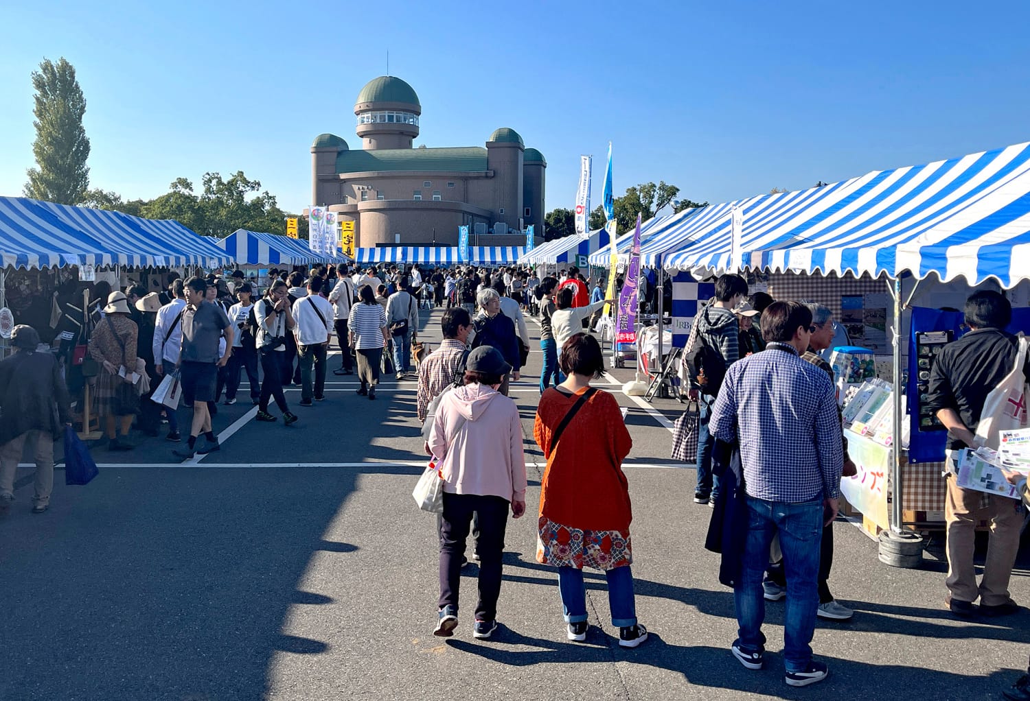 Japan Bird Festival 2025　日本最大級の鳥の祭典を楽しもう！