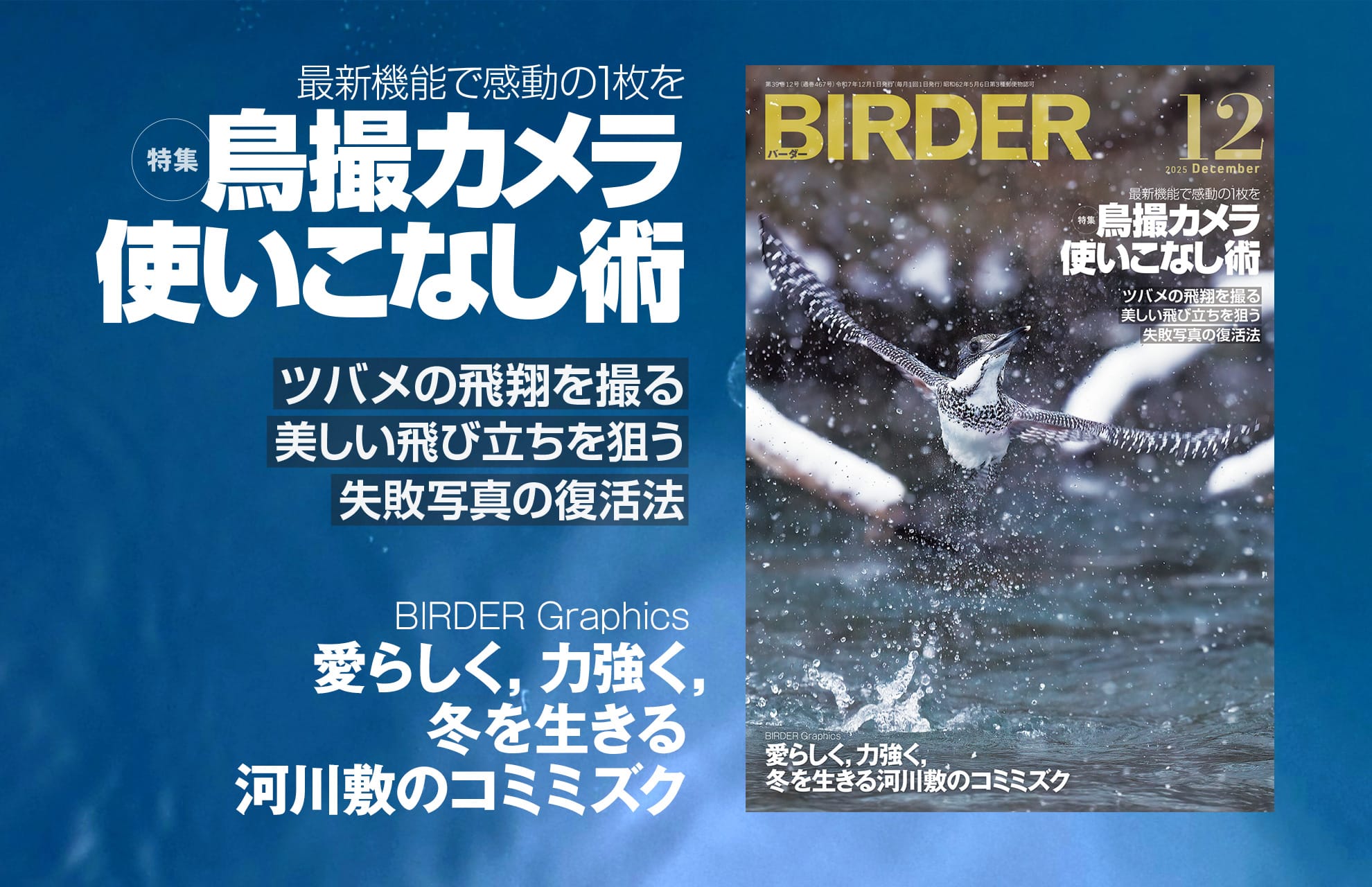 BIRDER最新号