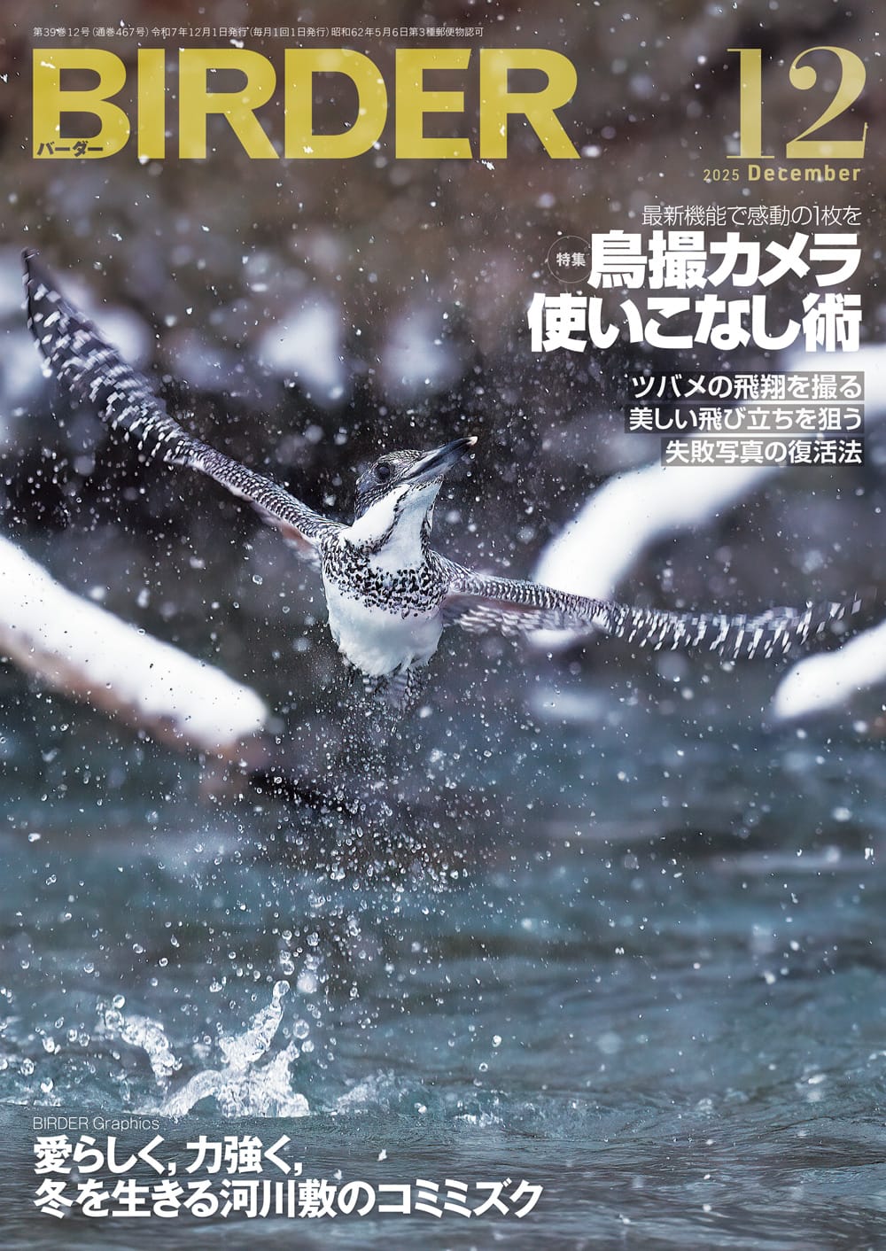 BIRDER（バーダー） 2025年12月号