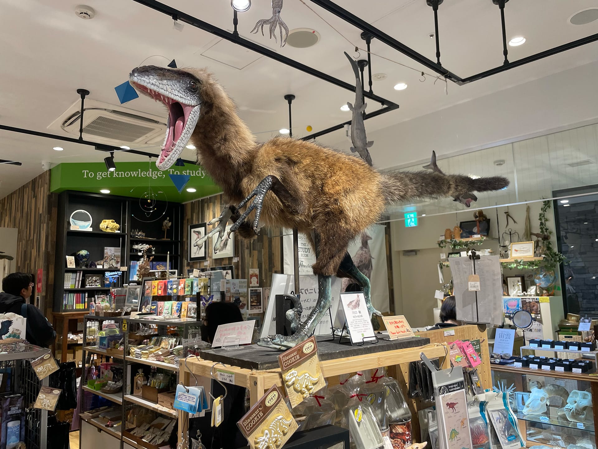 川口 敏「恐竜イラスト原画展」- THE STUDY ROOM エキュート上野店