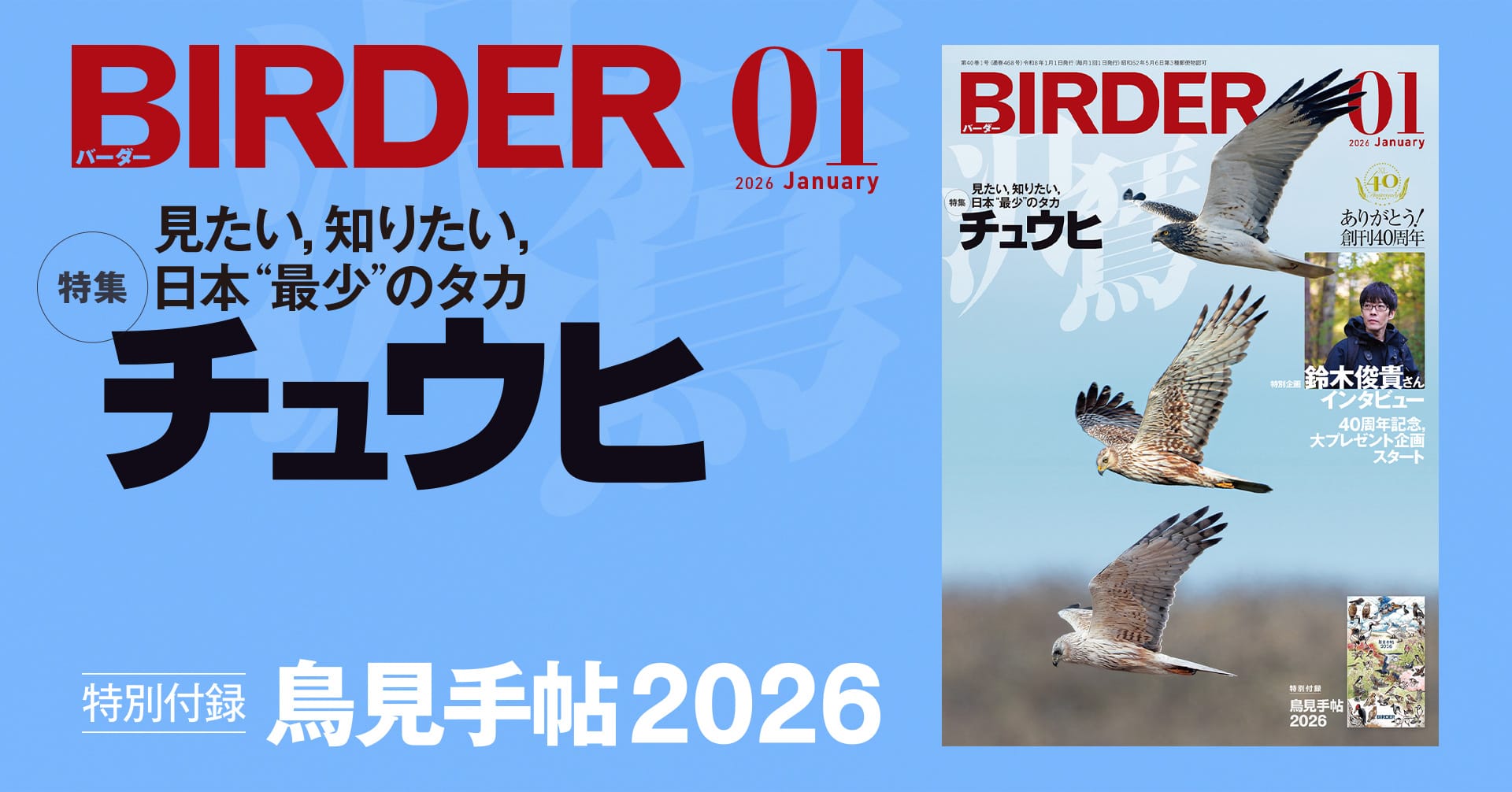 BIRDER1月号の見どころ