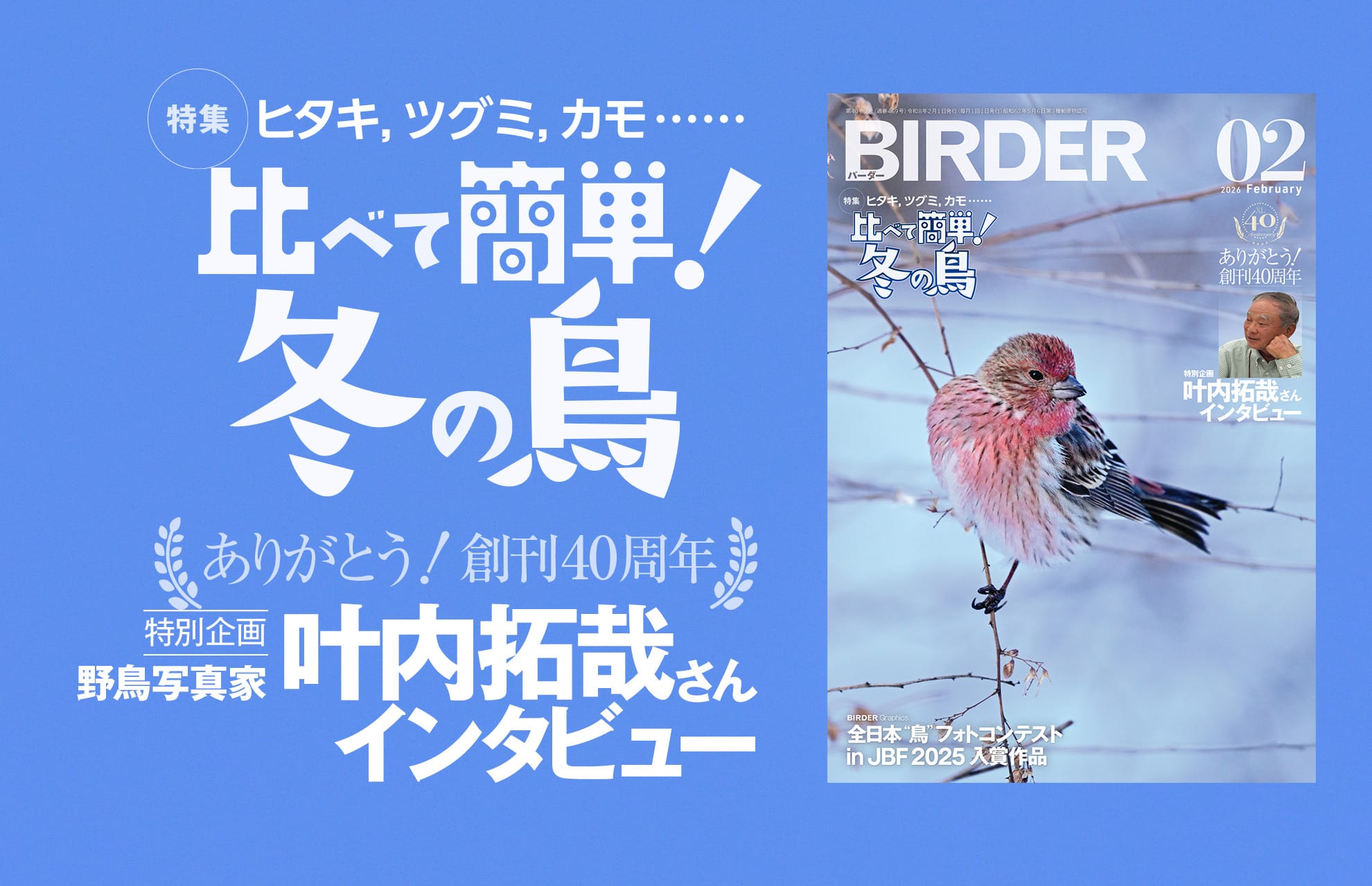 BIRDER最新号