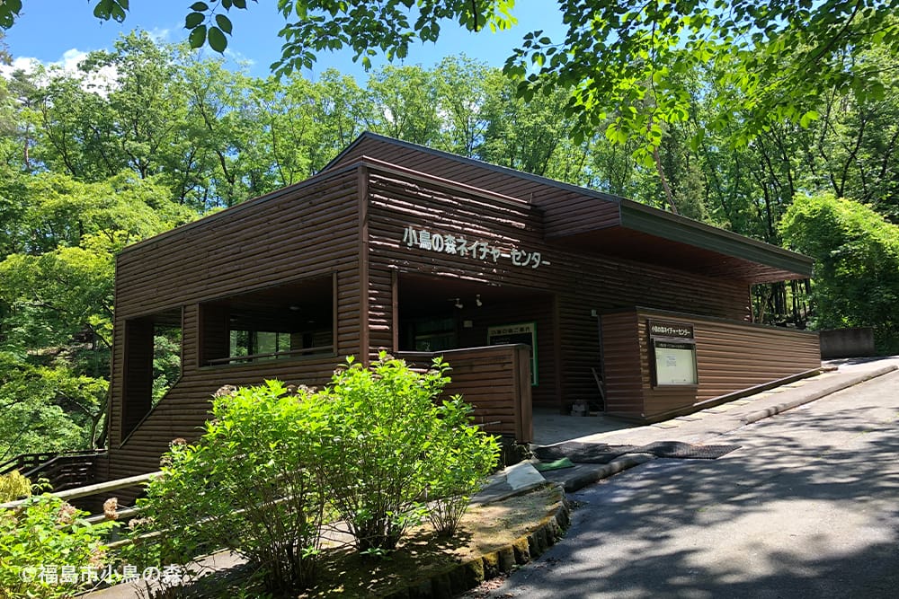 福島市小鳥の森