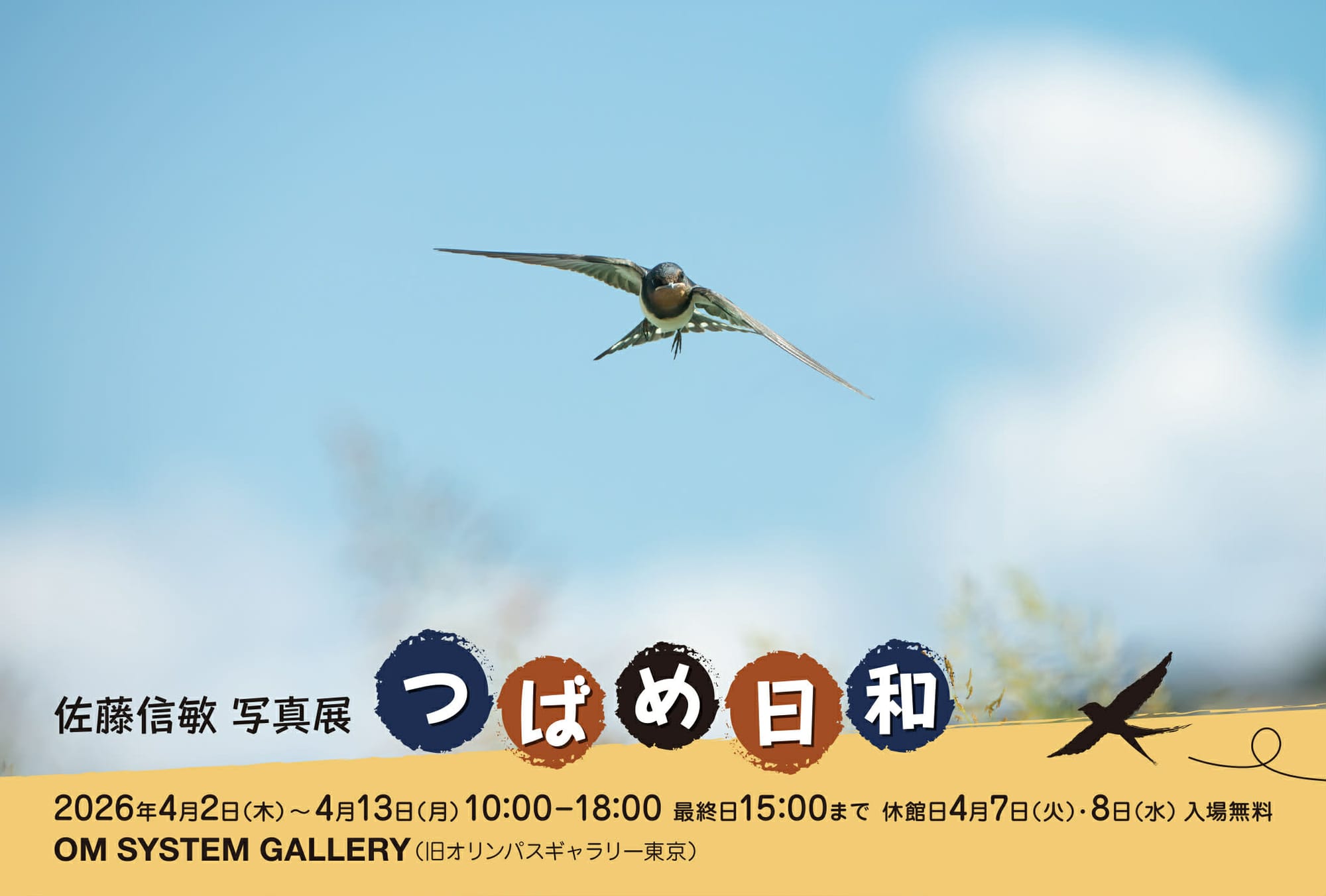 佐藤信敏 写真展「つばめ日和」- OM Gallery（〜4/13）