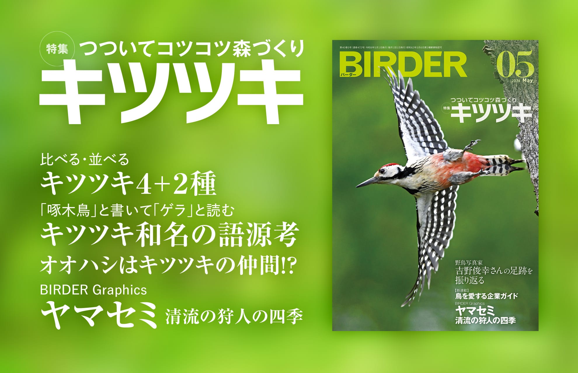 BIRDER最新号