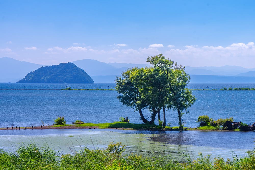 湖北野鳥センター