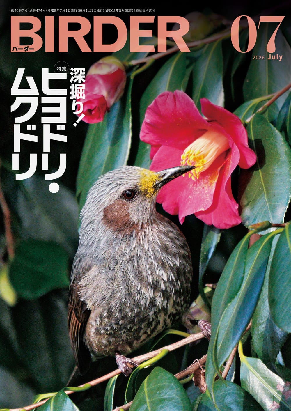 BIRDER（バーダー） 2026年7月号