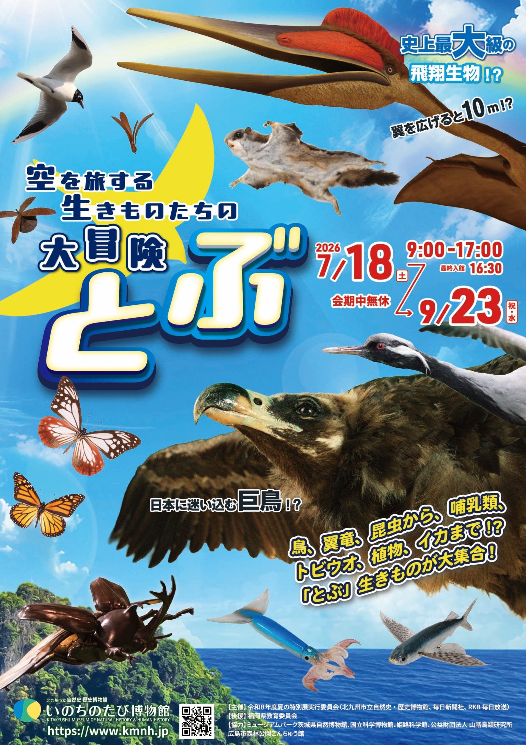 夏の特別展「とぶ　空を旅する生きものたちの大冒険」- いのちのたび博物館（7/18〜）