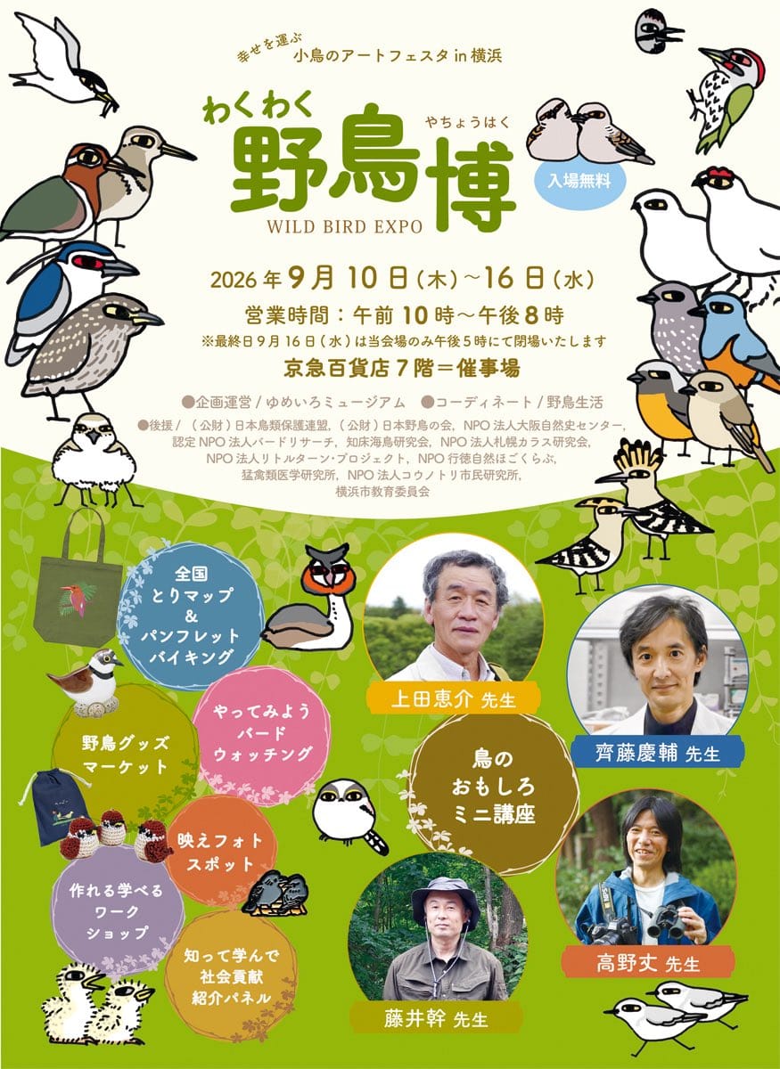 小鳥のアートフェスタ in 横浜「わくわく野鳥博 2026」（9/10〜）