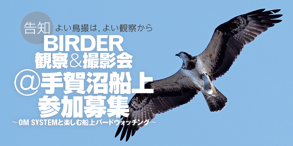 【募集】BIRDER観察＆撮影会 @手賀沼船上〜OM SYSTEMと楽しむ春の船上バードウォッチング